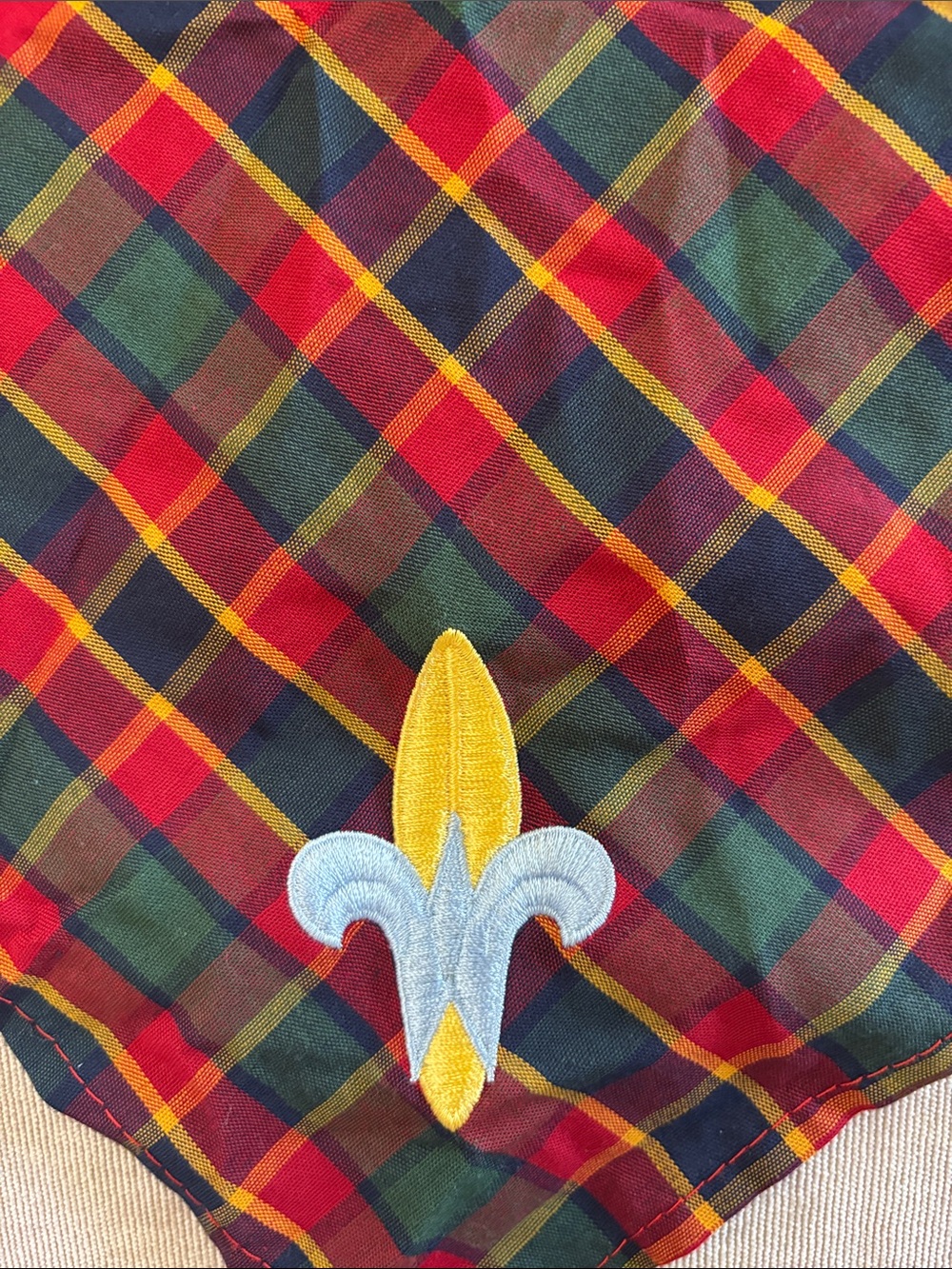Weblos scouting scarf